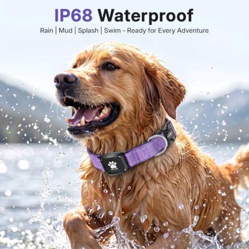 GPS Dog Collar with Tracker (Purple / L(16.5''-23.5''))