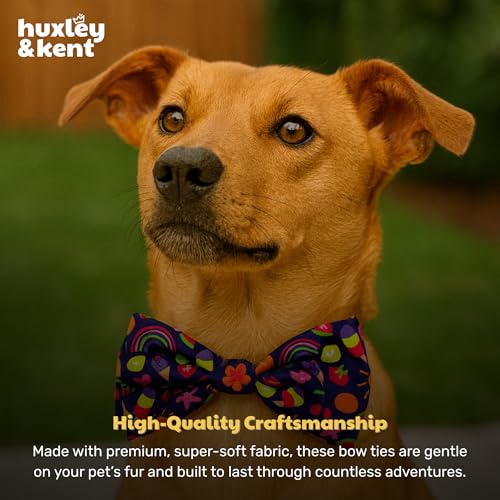 Pet Bow Tie for Dogs & Cats (Small)