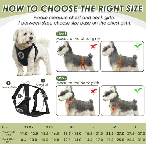 Dog Seat Belt and Harness for Car (Black / X-Small)