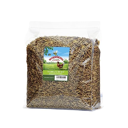 4LB Non GMO Dried Black Soldier Fly Larvae (4 Pound (Pack of 1))