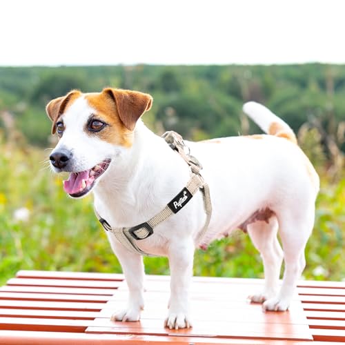 No Pull Dog Harness Small Sized Step (Beige(Reflective) / Small)