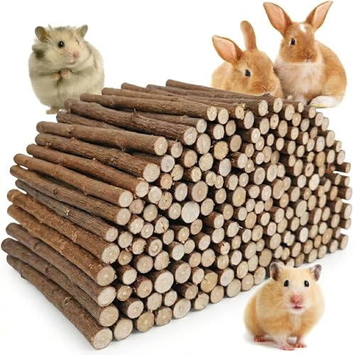 1 LB (16oz) Natural Apple Wood Chew Sticks for Rabbits, Hamsters, Chinchillas - Extra Hard Teeth Grinding Toy | Untreated, Safe & Long-Lasting Rodent Chews