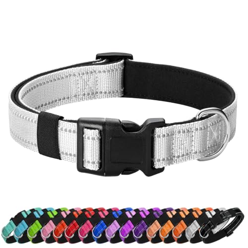 Reflective Dog Collar (Silver / L:width 1"neck 17.5-27")