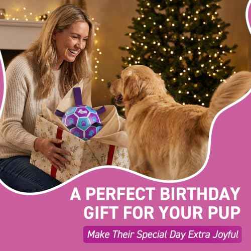 Big Dog Toys Large Herding Ball for Dogs Large (Purple-Blue / Extra Large Size 5 (9 Inch))