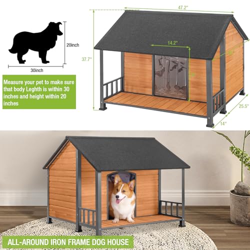 Large Dog House Outdoor Dog Kennel with All