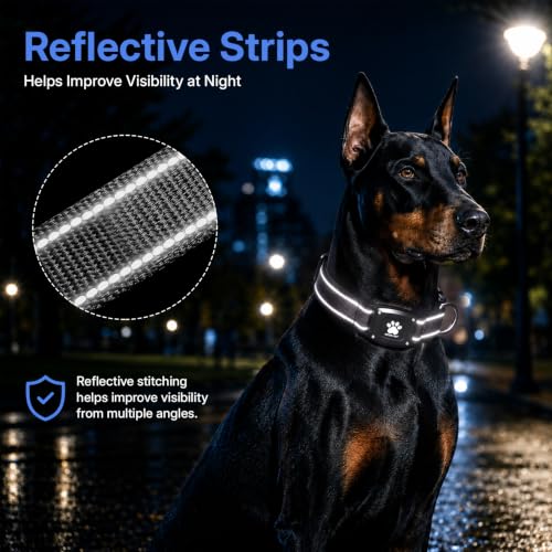 GPS Dog Collar with Tracker (Black / M(14.5''-19.5''))