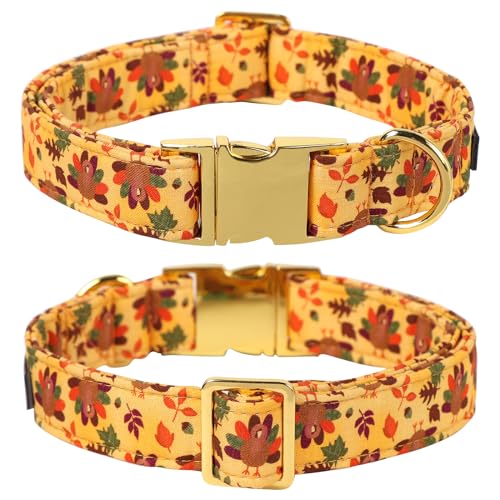 Thanksgiving Day Dog Collar with Bowtie (X-Small (Pack of 1) / A:4 Color Plume Turkey)