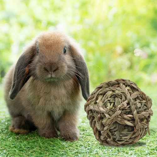 Rabbit Timothy Grass Ball 6 Pcs