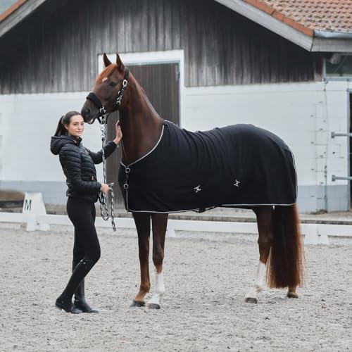 Kiel Horse Halter (Black / Cob)