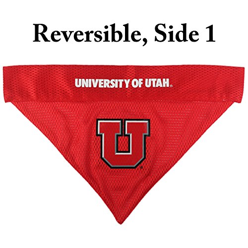 Collegiate Pet Accessories (Small/Medium / Utah Utes)