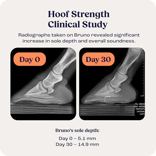 Summit Equine Hoof Strength Powder for Horses