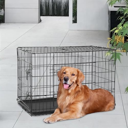 48" Foldable Metal Dog Crate (Black)