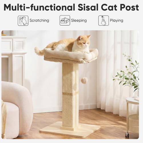 Retro Style Cat Scratching Post with Perch for Indoor Adult Cats (Beige)