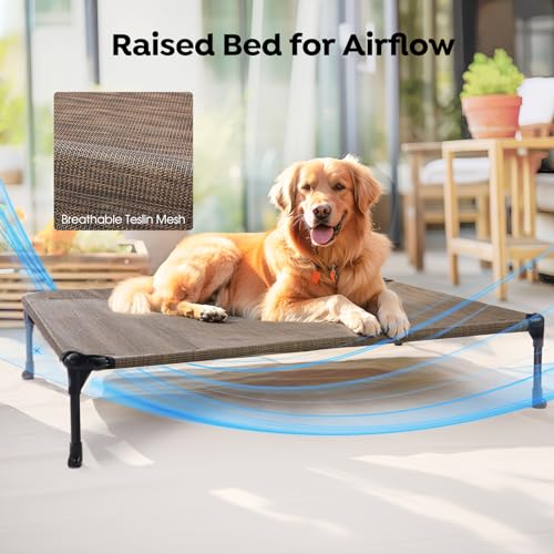 Outdoor Elevated Dog Bed with Waterproof Bolster Cushion (Brown / 42.0"L x 30.0"W x 7.0"Th)