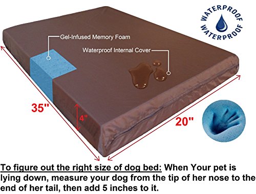 Orthopedic Small Medium Gel Memory Foam Pet Bed with Washable Denim Cover (35.0"L x 20.0"W x 4.0"Th / Chocolate Brown)