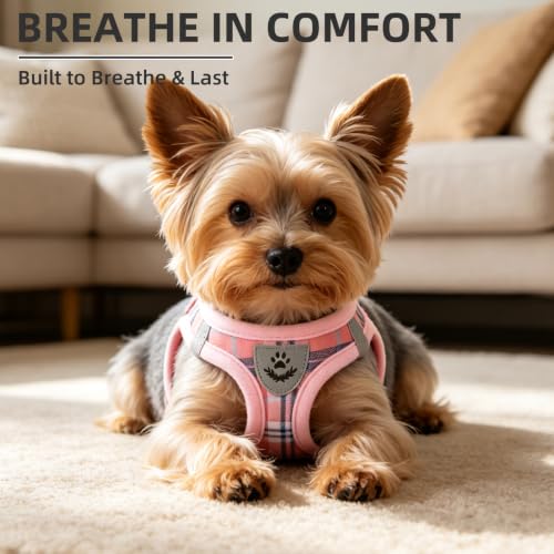 Dog Harness Collar and Leash Set No Pull for Small Medium Sized (Pink / M (CHEST 16"-18"))