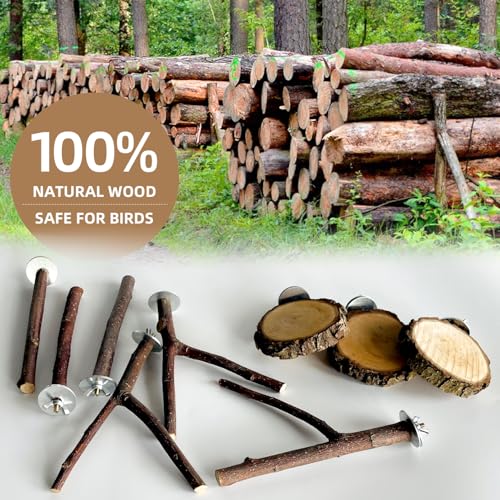 8 Piece Set Natural Wood Bird Perches