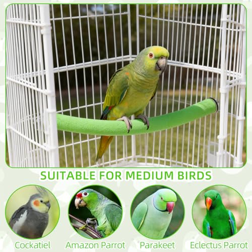 90 Degree Parrot Perch for Cage Corner (Large / Green-corner-90)