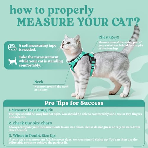 Cat Harness and Leash Set (Xs / Emerald)