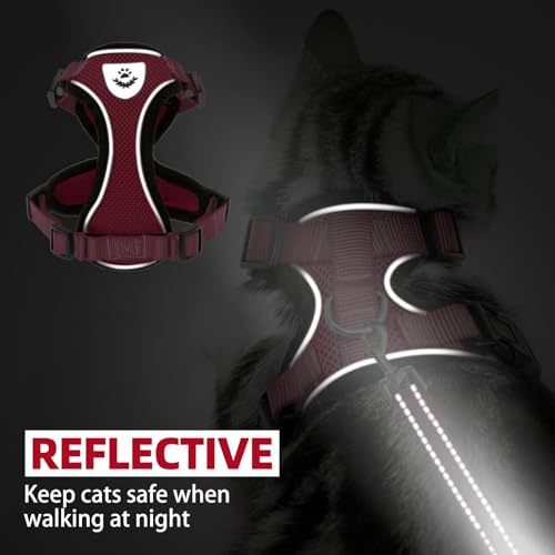 Cat Harness and Leash Set Escape Proof Reflective Cat Walking Harness Adjustable Soft Breathable Mesh Vest for Small Pets (S (NECK 9.5"-11", CHEST 13"-16") / Red)