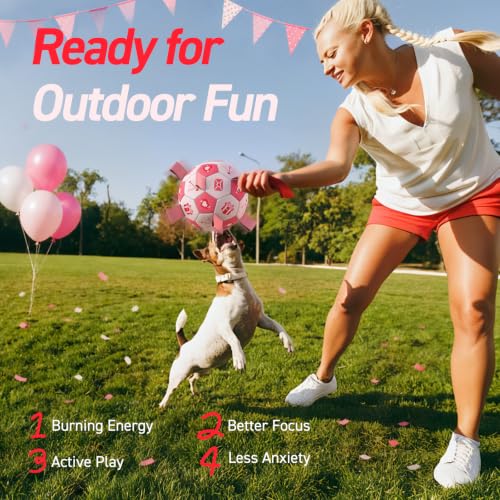 Dog Birthday Toys (Pink / 8 Inch)