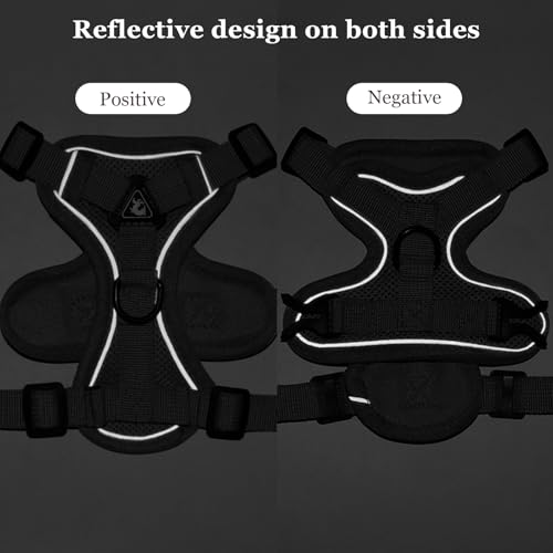 cat Chest Harness and Leash (grey / S:3.3-6.6lb)