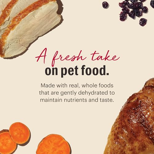 Human Grade Dehydrated Grain Free Turkey Cat Food (2 Pound (Pack of 1))