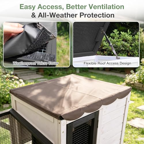 Large Rabbit Hutch Outdoor (Black and White-AIR7013)