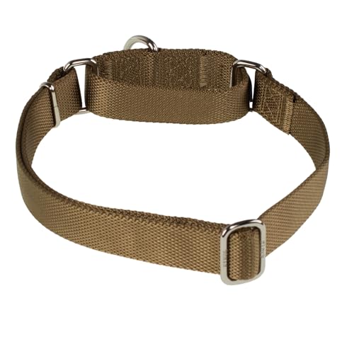 Martingale Dog Collars for Medium Dogs (Medium / Army Yellow)