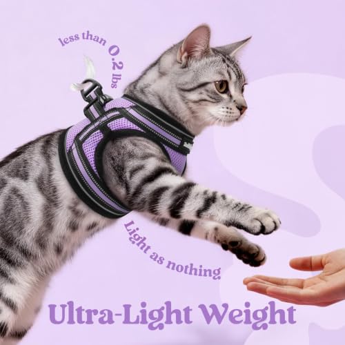 Cat Harness and Leash Set (M / Light Purple)