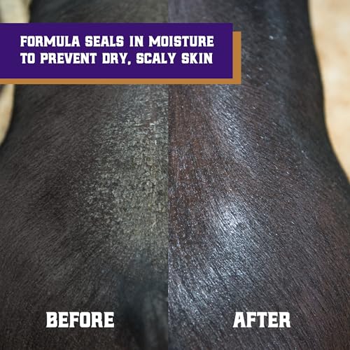 Swine Conditioner and Shine (1-Quart)