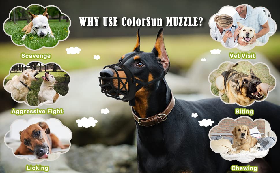 Dog Muzzle Breathable Basket Muzzles for Large and X (L)