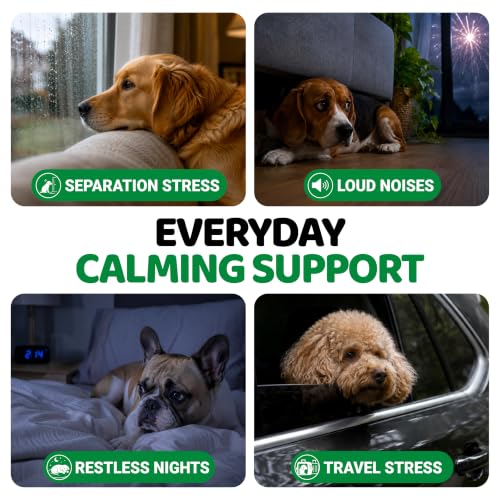 Hemp Calming Chews for Dogs (Calming Chews / 240 Chews)
