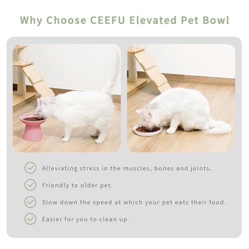 2 Pack Elevated Ceramic Cat Bowls Extra Wide for Food & Water (Pink)