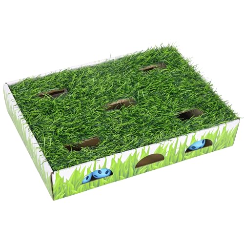 Grass Patch Hunting Box Cat Toy