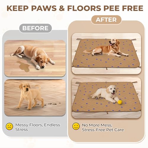 Washable Dog Pee Pads (Brown / 36*41 Inch (Pack of 2))