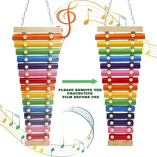 Large Colorful Chicken Xylophone Toy