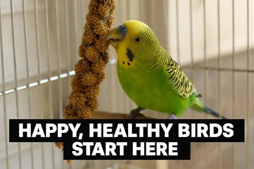 5lbs French Kissed Spray Millet for Birds (5lb)