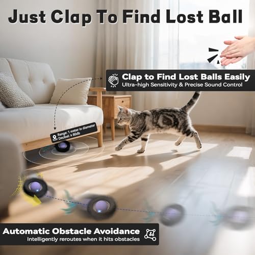 Interactive Cat Toy (No Cat No Life)