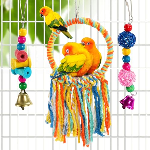 Bird Hoop Swing and Parakeet Toys (colorful)