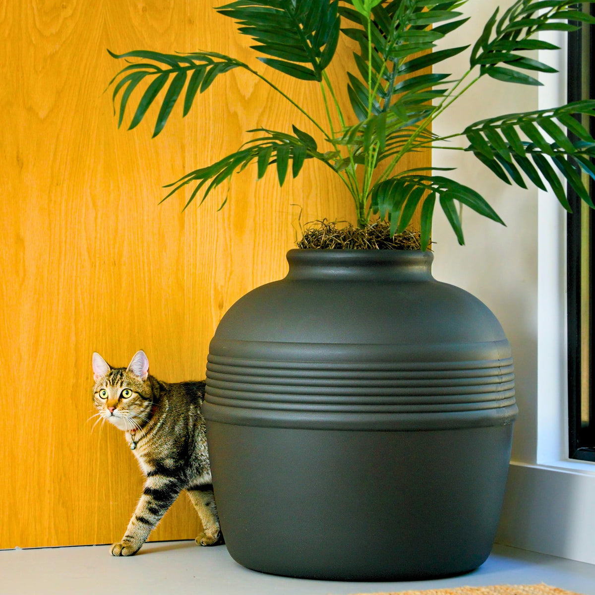Original Hidden Litter Box Planter (Palm Plant / Base Kit / Charcoal Black)