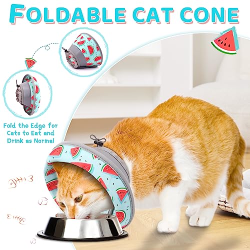 Cat Cone Collar Soft to Stop Licking (Blue / M)