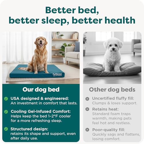 Water Resistant Orthopedic Dog Bed for Large Dogs (Large / Deep Lagoon)