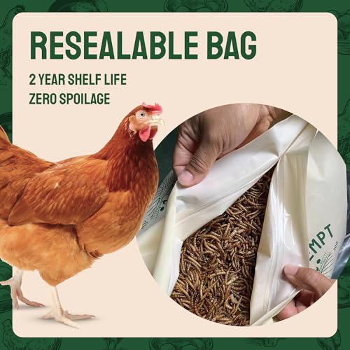 5lb Dried Mealworms for Chickens & Wild Birds (5 Pound (Pack of 1))