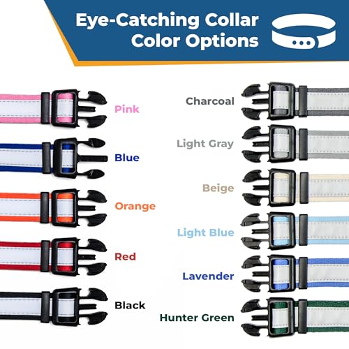 Reflective Dog Collar with Personalized Nameplate (Reflective / Large (Pack of 1))