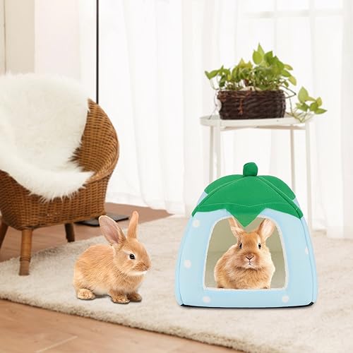 Guinea Pig Bed Hideout (Strawberry Blue)