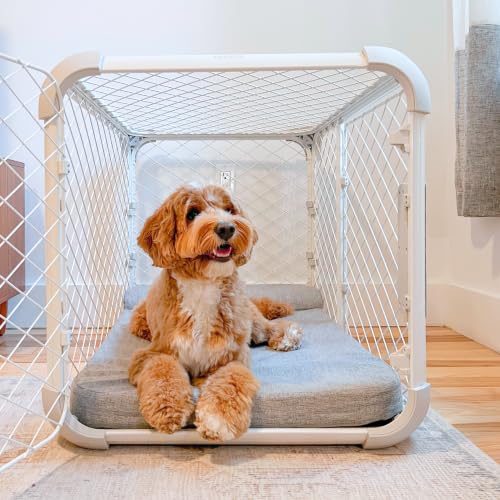 Evolv Modular Dog Crate for Dogs 18 (Intermediate (38.1"L x 24.9"W x 25.6"H) / Ash)