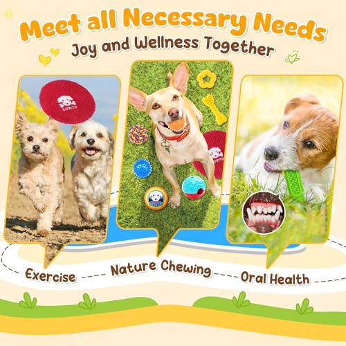 25 Pack Various Dog (Colorful)