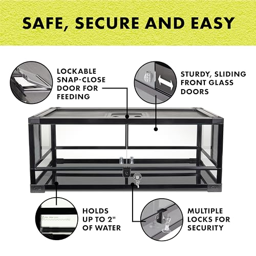 QuickBuild Reptile 20 Gallon Glass Terrarium Habitat with Swing Door For Geckos (30x12x12)