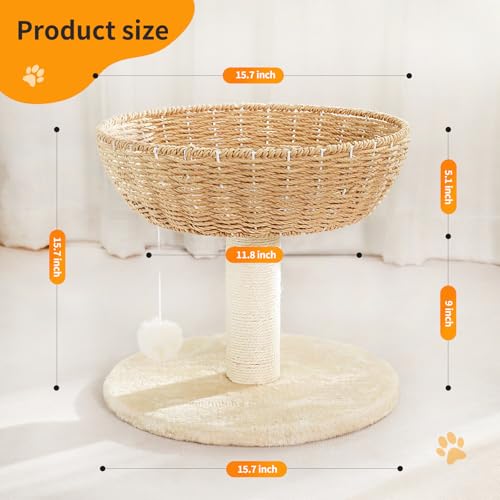 Small Cat Tree with 17.5 (4)
